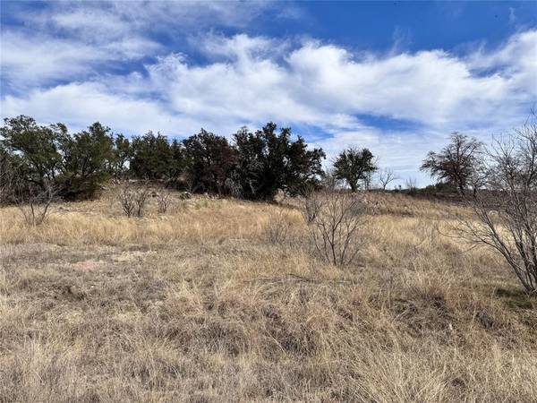 Brownwood, TX 76801,TBD Lot 196 Carie Drive