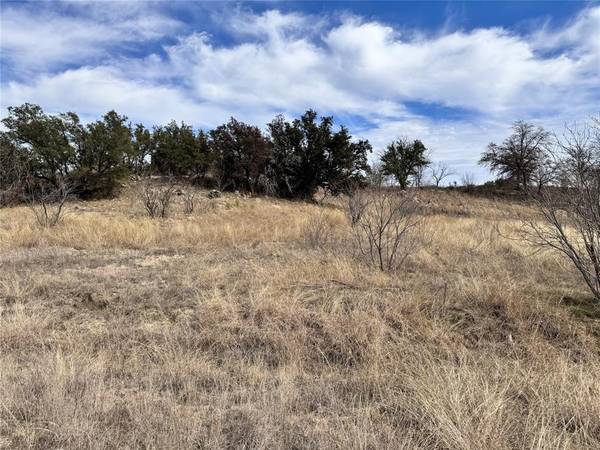 Brownwood, TX 76801,TBD Lot 196 Carie Drive