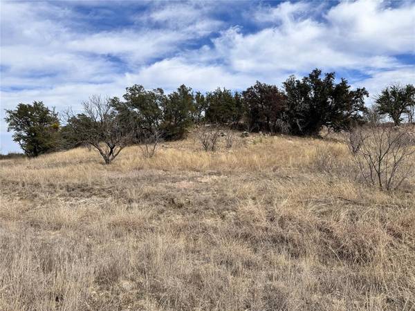 Brownwood, TX 76801,TBD Lot 196 Carie Drive