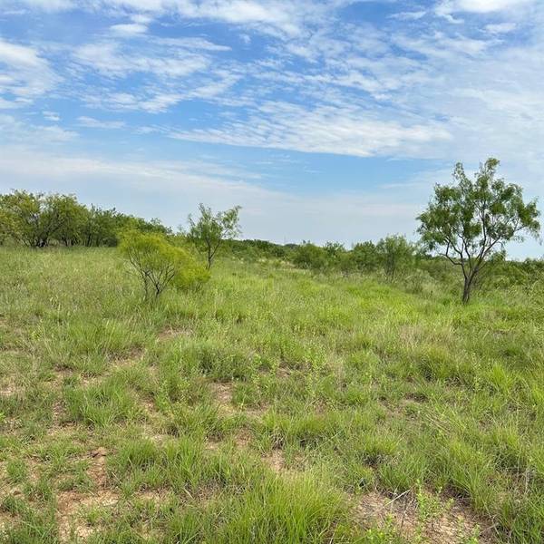 Abilene, TX 79601,Tract 10 CR 107