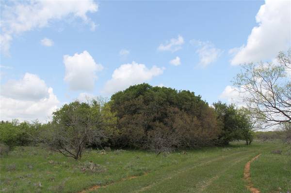 Carbon, TX 76435,3939 Hwy 1027