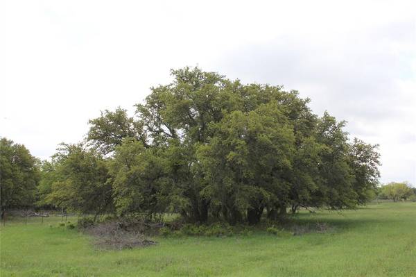 Carbon, TX 76435,3933 Hwy 1027