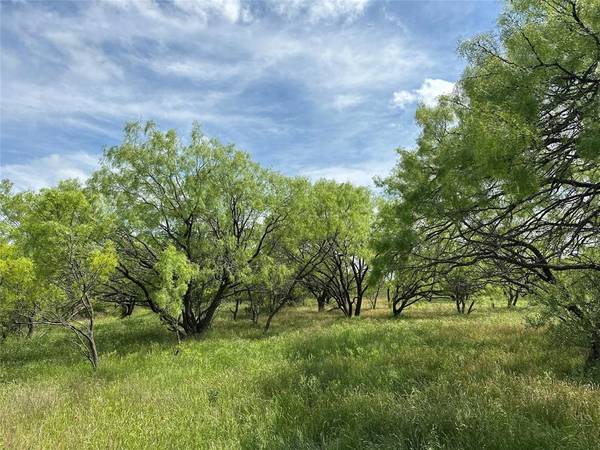 Abilene, TX 79601,Tract 9 CR 107