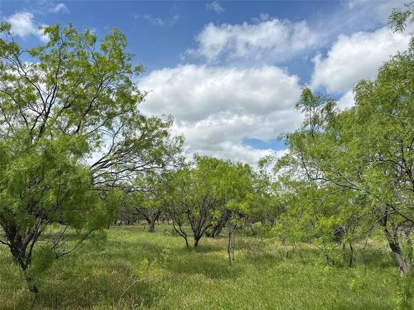 Abilene, TX 79601,Tract 9 CR 107