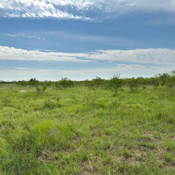 Abilene, TX 79601,Tract 11 CR 152