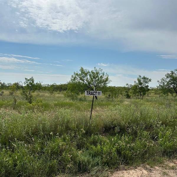 Abilene, TX 79601,Tract 11 CR 152