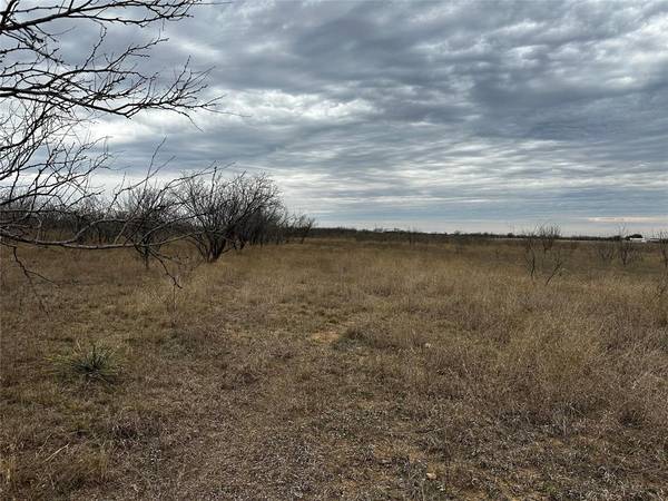 Abilene, TX 79601,Tract 11 CR 152