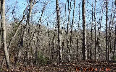 Hayesville, NC 28904,L 28 Mission Ridge Ph1