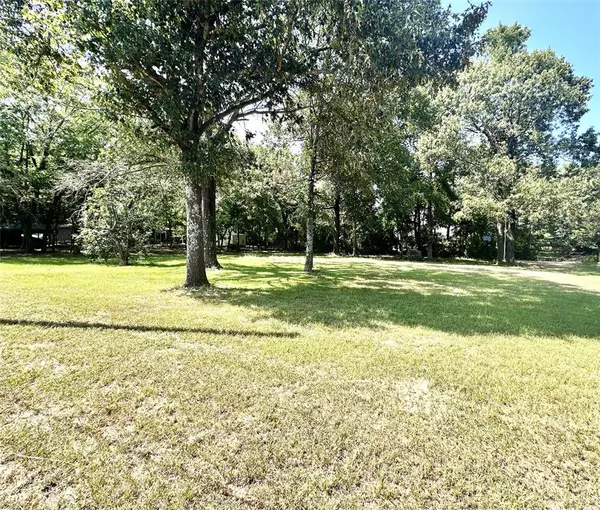 Frankston, TX 75763,Lot 17 Lime Street