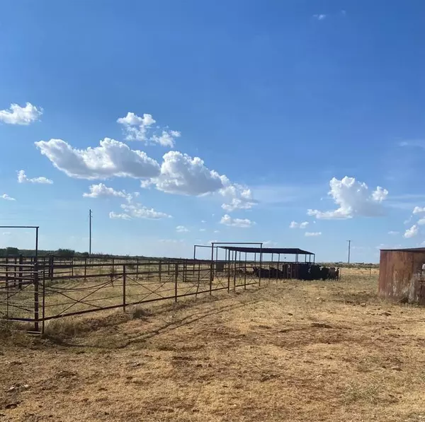 Megargel, TX 76370,0000 Terrapin