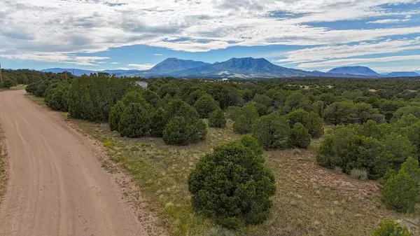 Walsenburg, CO 81089,Lot 79 Comanche