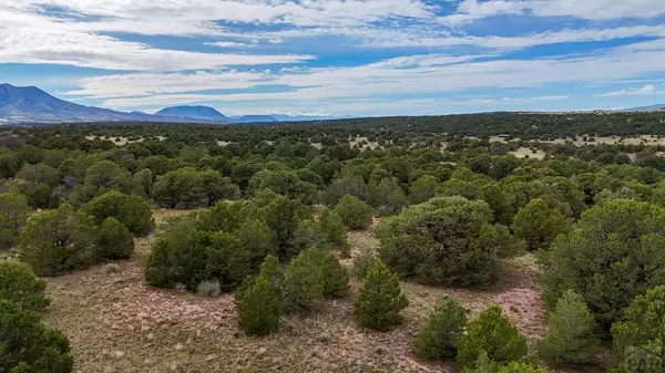 Walsenburg, CO 81089,Lot 79 Comanche