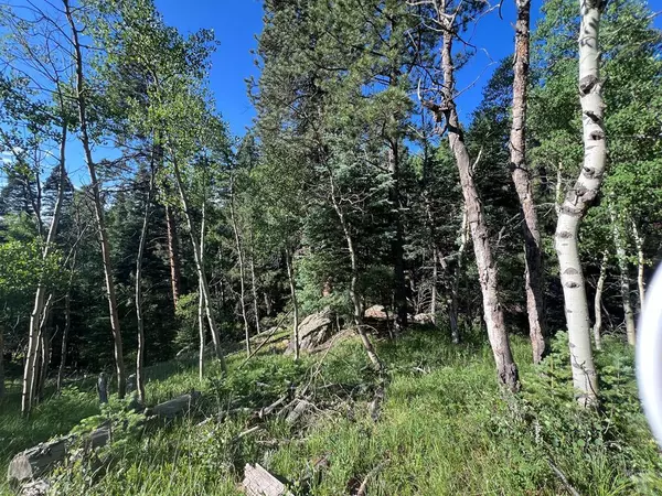 Lot 7 Wonder Trail, San Isabel, CO 81069