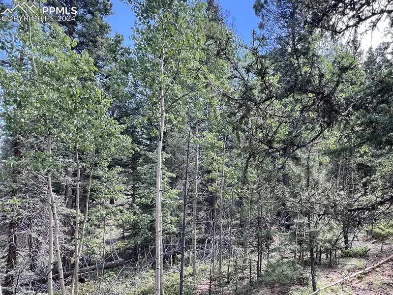 437 Sunset LN, Cripple Creek, CO 80813