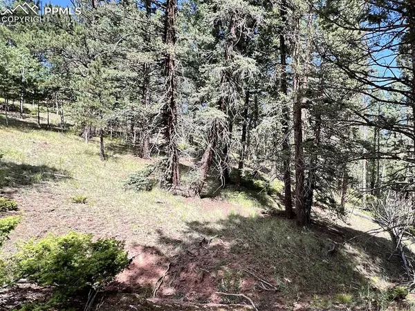 Cripple Creek, CO 80813,437 Sunset LN