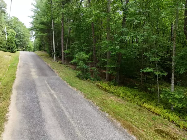 Blairsville, GA 30512,7.61 AC Hawks Nest Road