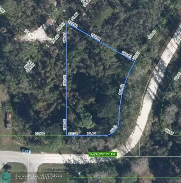 3111 Tanglewylde Ave, Lake Placid, FL 33852