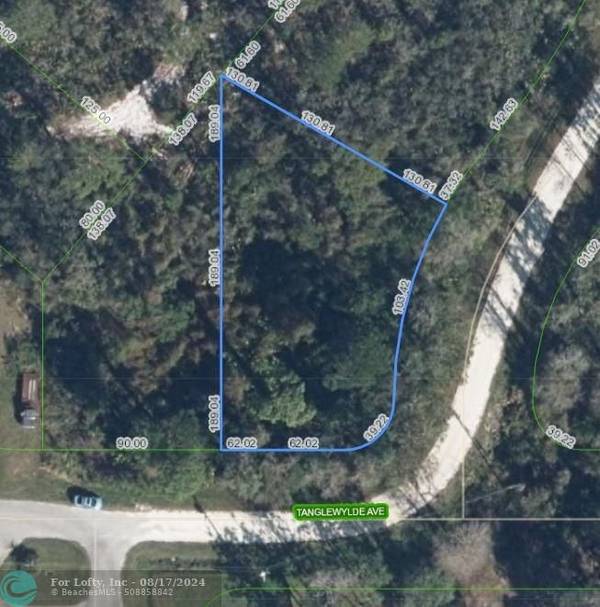 3111 Tanglewylde Ave,  Lake Placid,  FL 33852