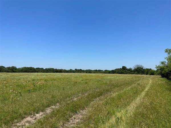 5029 County Road 214, Hico, TX 76457