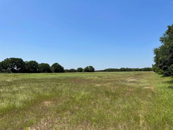 Hico, TX 76457,5029 County Road 214