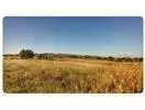 Edgewood, TX 75117,LOT 18 PRIVATE RD 7017