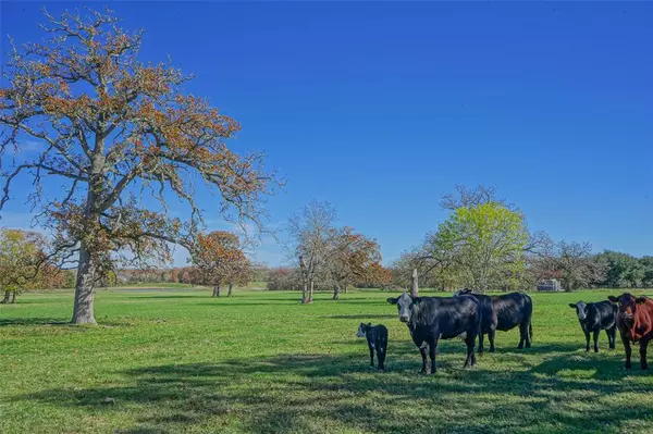 College Station, TX 77845,24+/- Acres Dyess Road