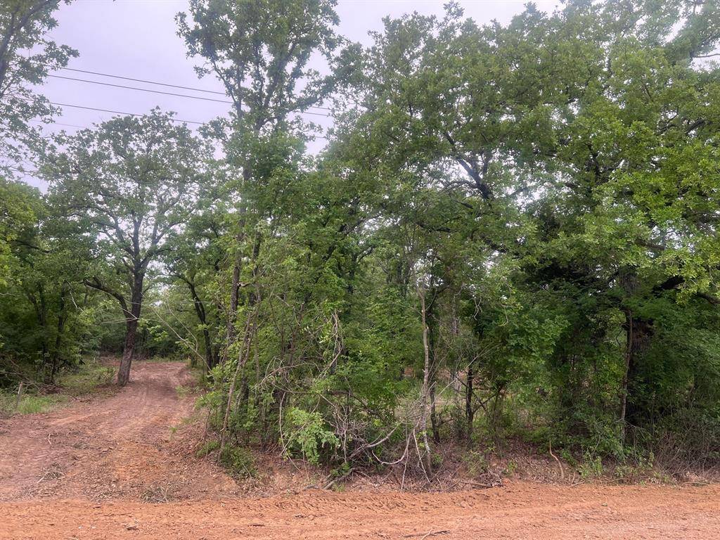 Mineral Wells, TX 76067,tbd 0 HAMILTON