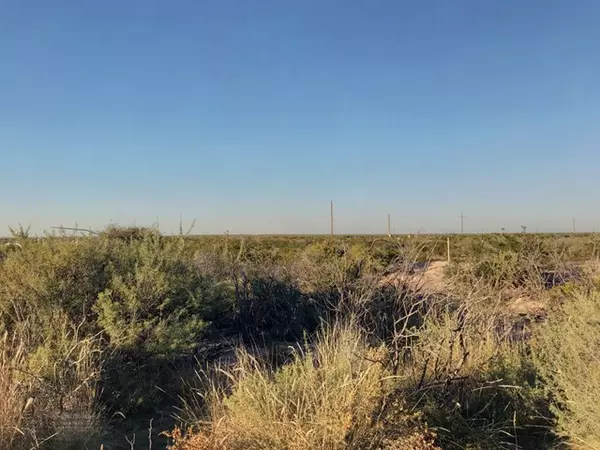 10 Acres County Rd 2545, Coyanosa, TX 79730