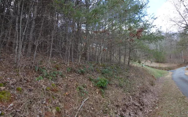 Hiawassee, GA 30546,LOT 4 Brer Fox Ridge