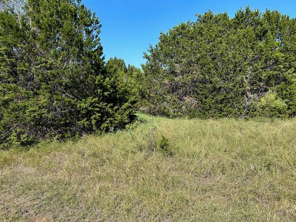 Whitney, TX 76692,43170 Thistle Trail