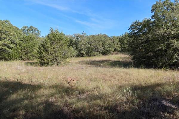 Bowie, TX 76230,TBD Pecan