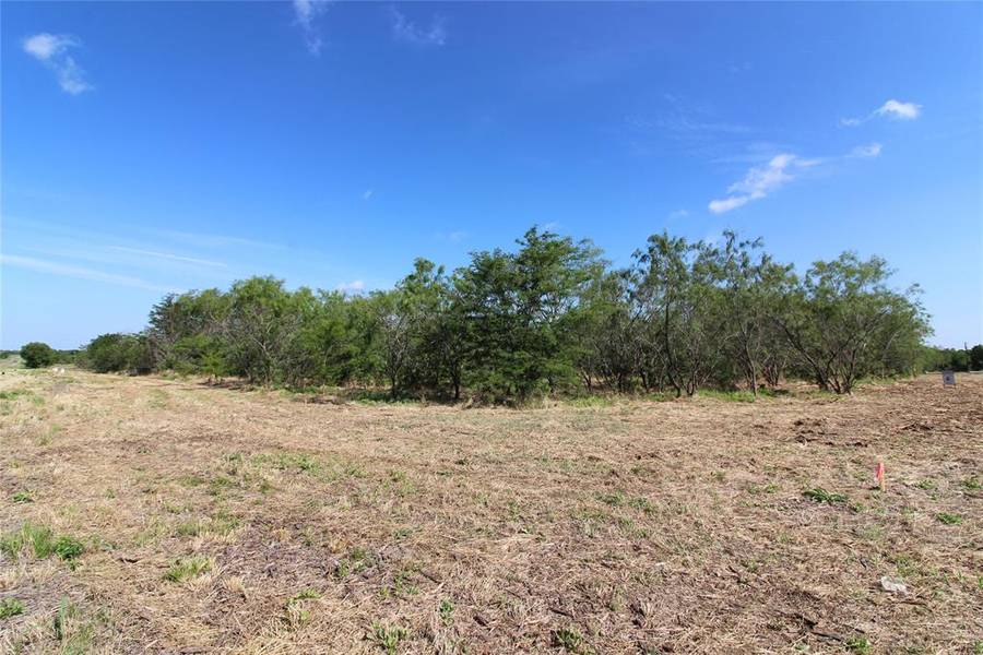 TBD Lot 1 County Road 146, Kaufman, TX 75142