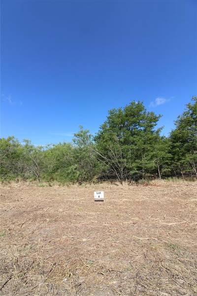 TBD Lot 4 County Road 146, Kaufman, TX 75142