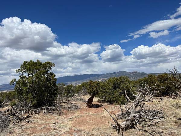 27 Colorado Land and Grazing, Gardner, CO 81040