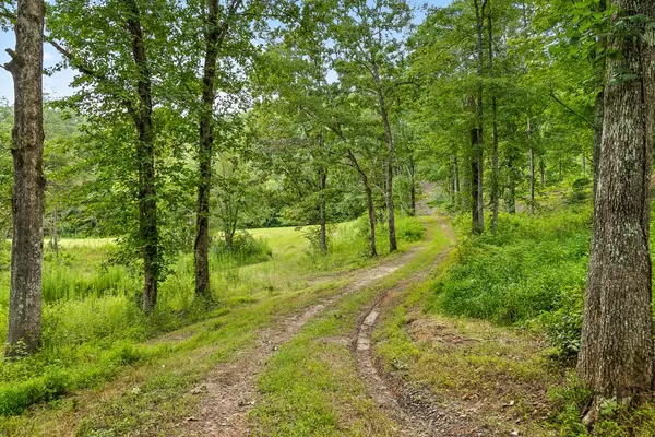 Blue Ridge, GA 30513,Lt 15&16 Bearden Farm Overlook