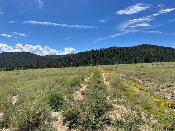 97 Pierce Gulch Road, Cotopaxi, CO 81223