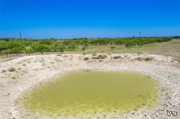 Blanket, TX 76432,lot 2 8288 County Road 329