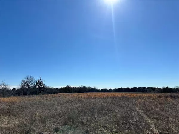 Mexia, TX 76667,TBD-3 County Road 512