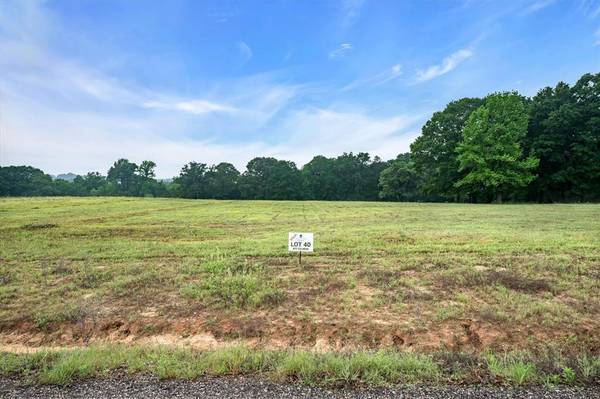 Big Sandy, TX 75755,527 Private Road 3398