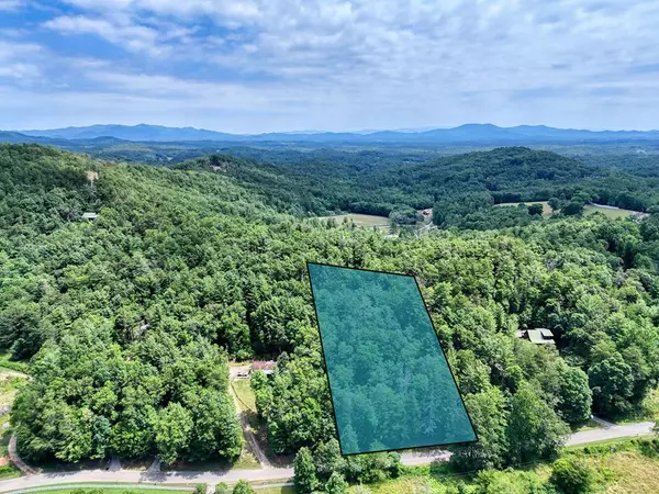 Blue Ridge, GA 30513,2 AC Ritchie Creek Road