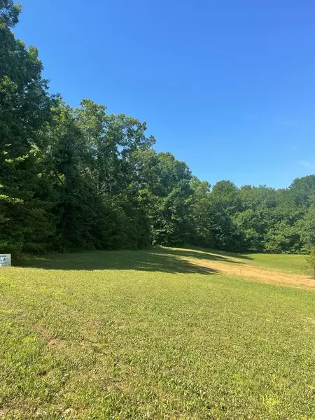 0 Highland Gap, Mineral Bluff, GA 30549