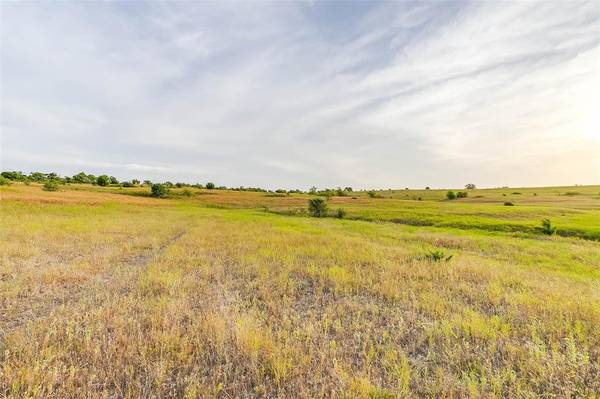 Weatherford, TX 76085,Lot 17R Old Springtown Road