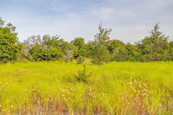 Weatherford, TX 76085,Lot 14R Old Springtown Road