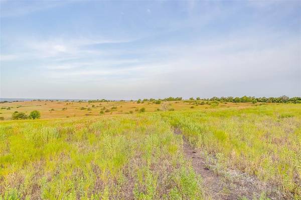 Weatherford, TX 76085,Lot 21 Old Springtown Road