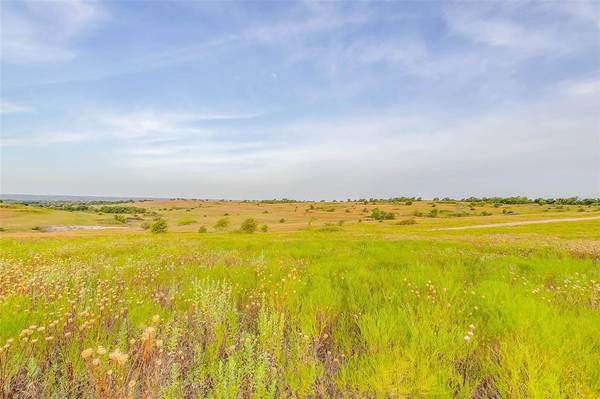 Weatherford, TX 76085,Lot 21 Old Springtown Road