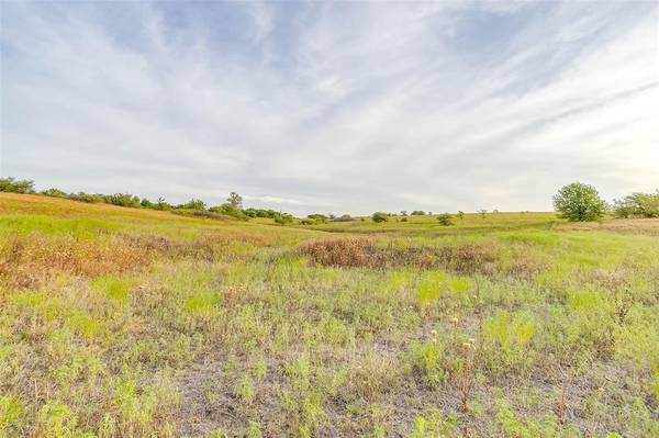 Weatherford, TX 76085,Lot 21 Old Springtown Road