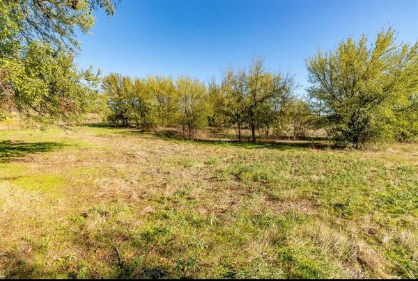 Weatherford, TX 76087,TBD Meadow Ridge Drive