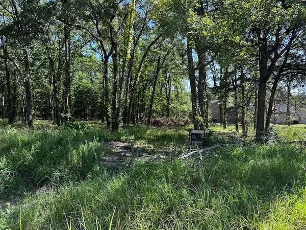 West Tawakoni, TX 75474,Lot 25 Woodland Drive