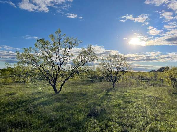 Brock, TX 76087,129 Tobiano Trace