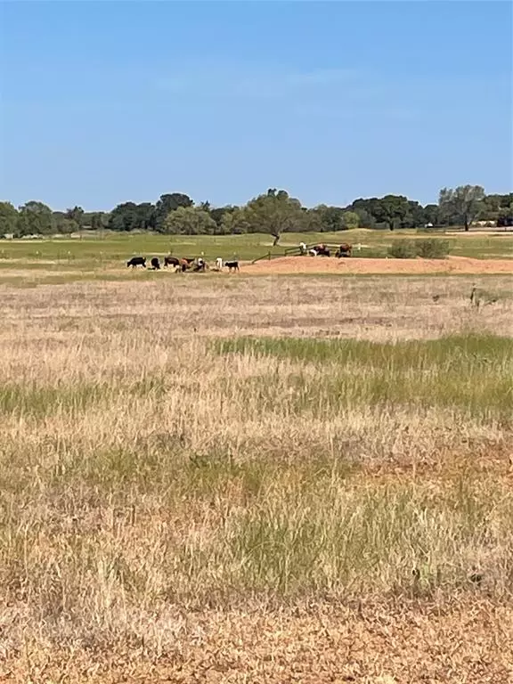 Gorman, TX 76454,TBD Farm Road 679 Street